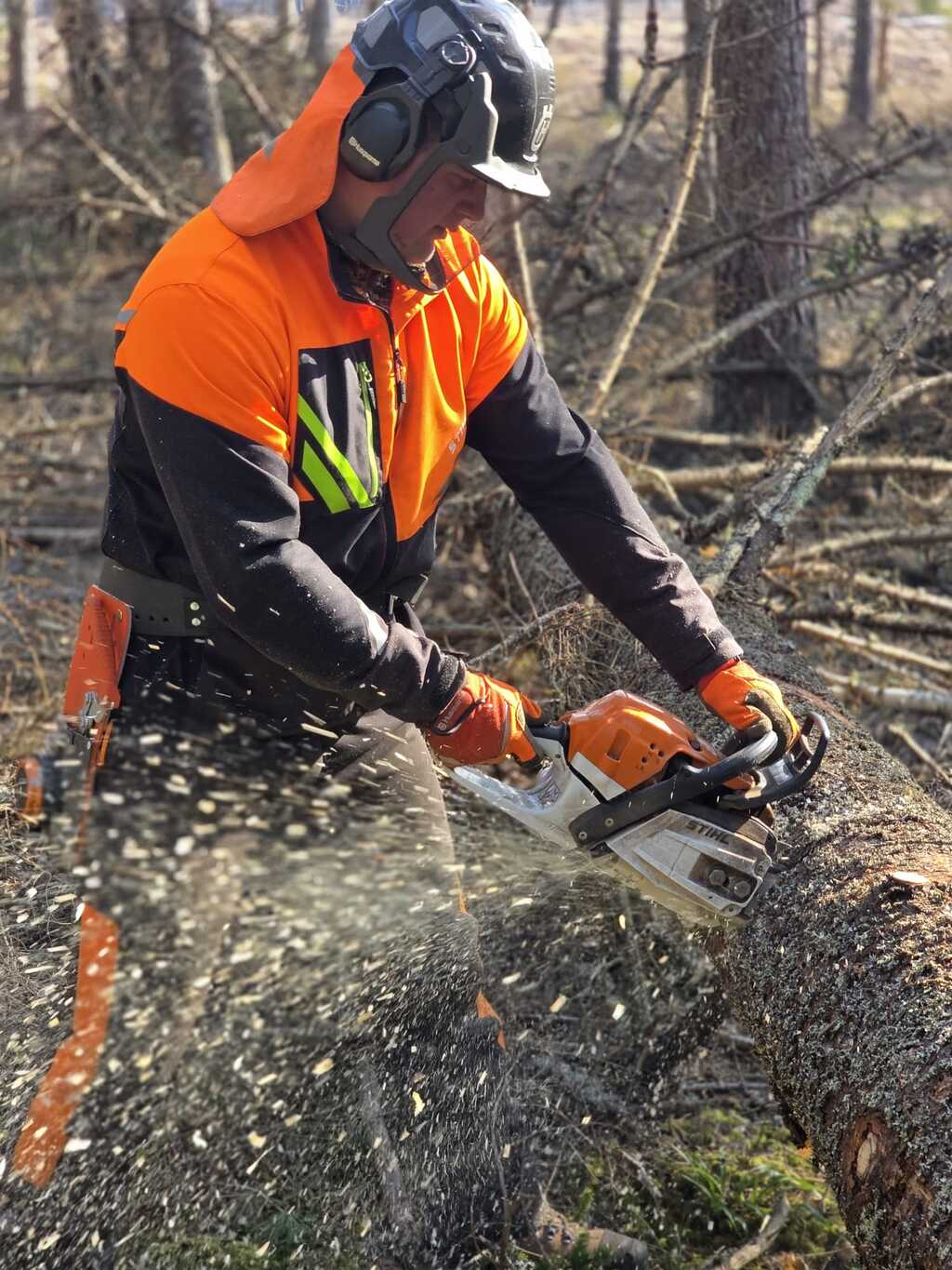 Droša un precīza koku zāģēšana profesionālu darbinieku izpildē