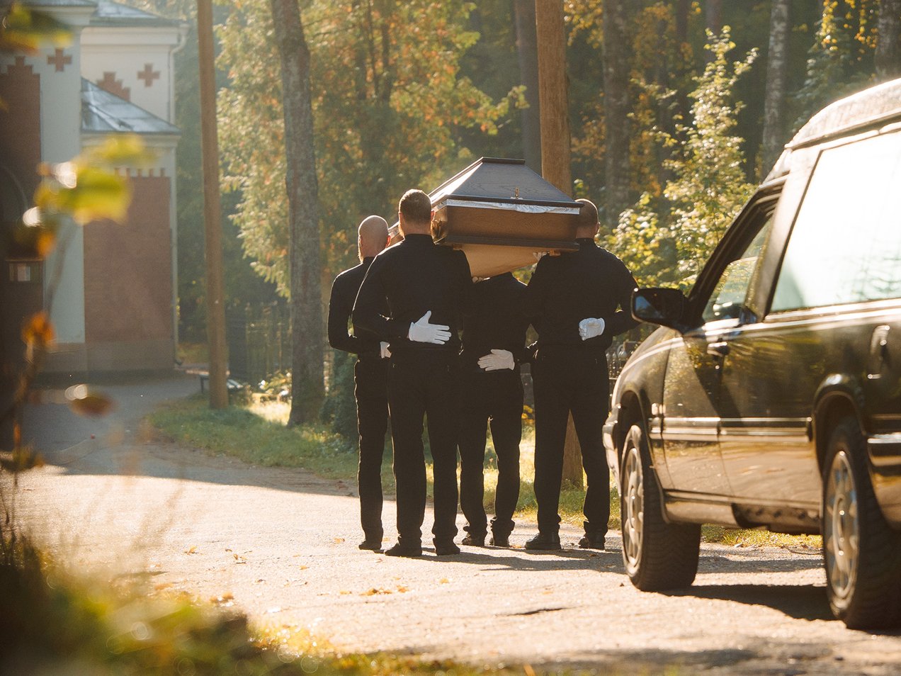 Bēru organizēšana