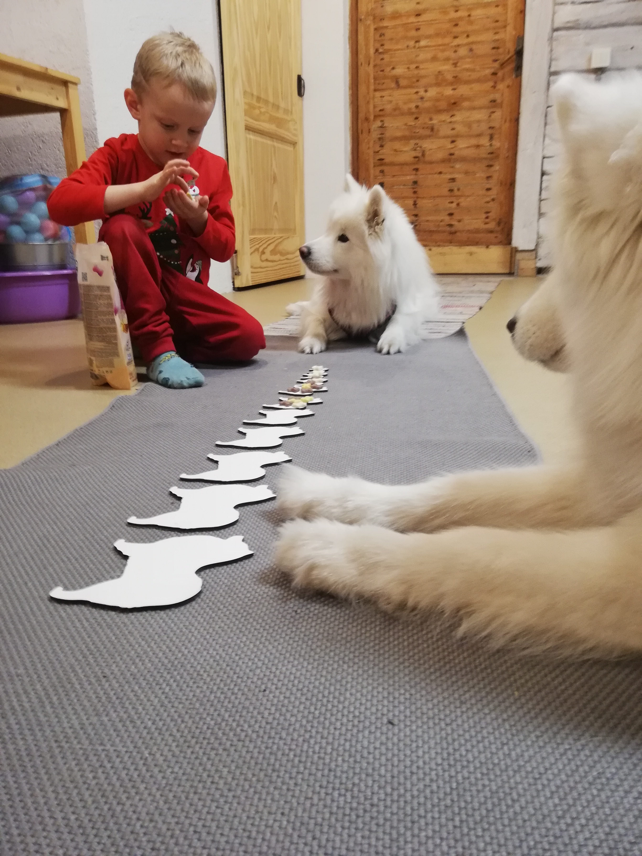 Dora un Sani palīdz saskaitīt. Kanisterapijas nodarbība Brīvupēs.