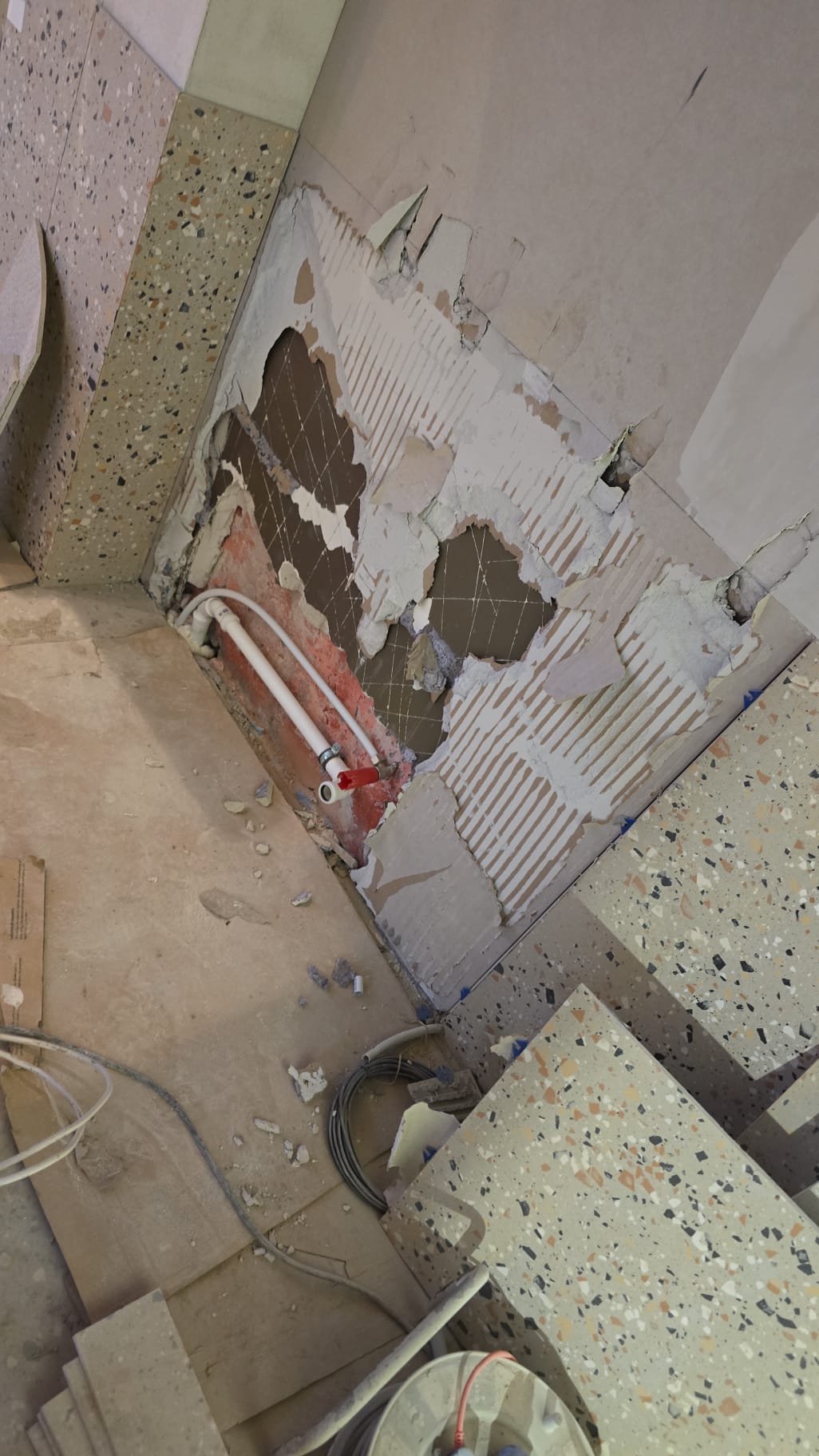 HOUSEDEXTER, SIA, darbi