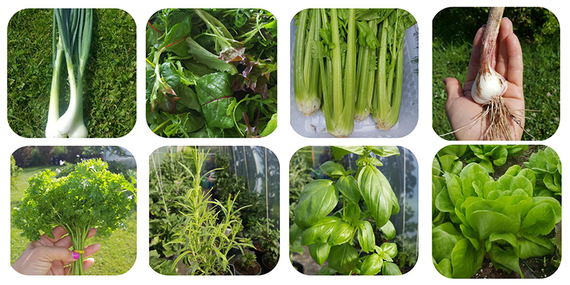 Produkti