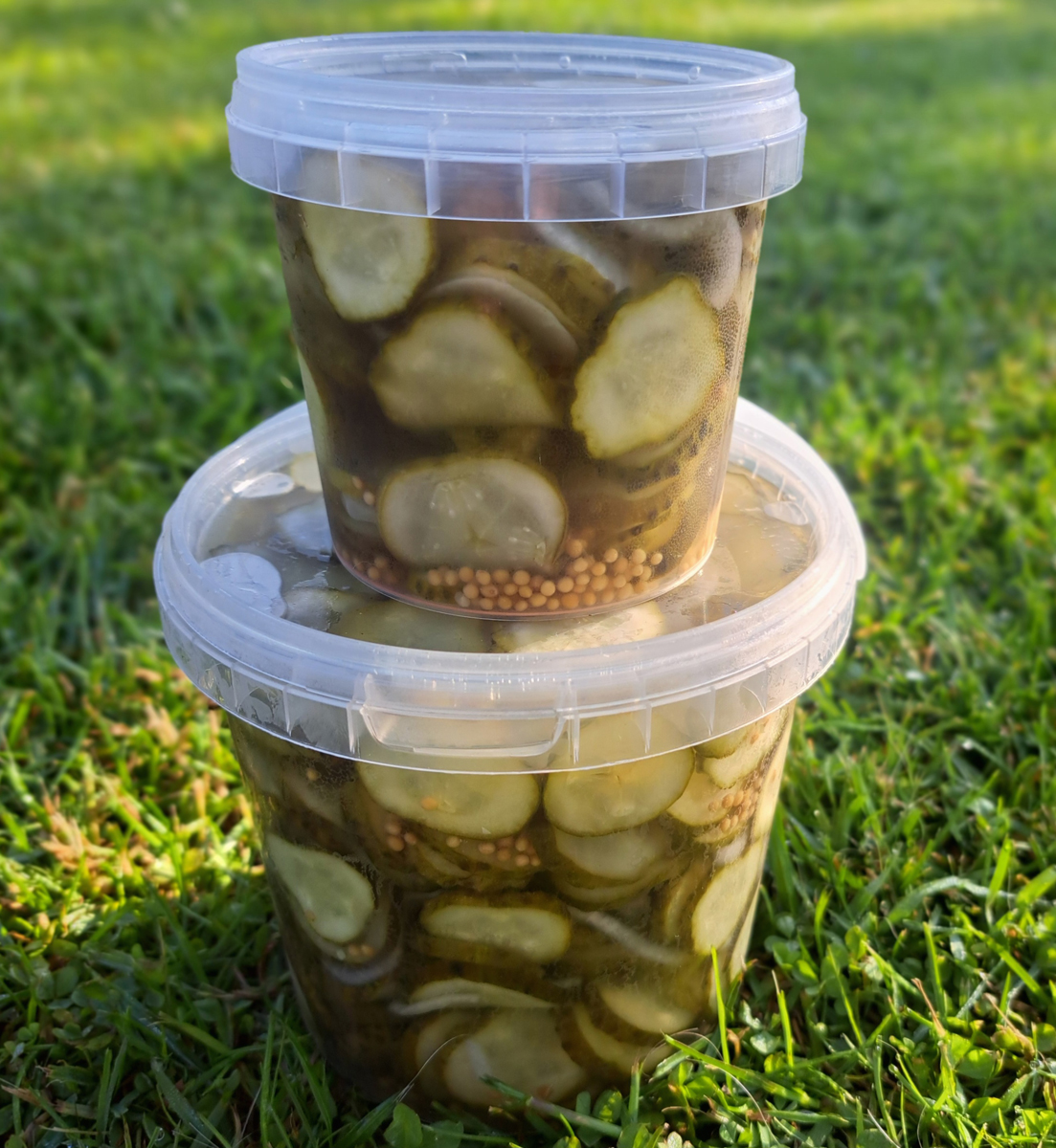 Fermentēti produkti