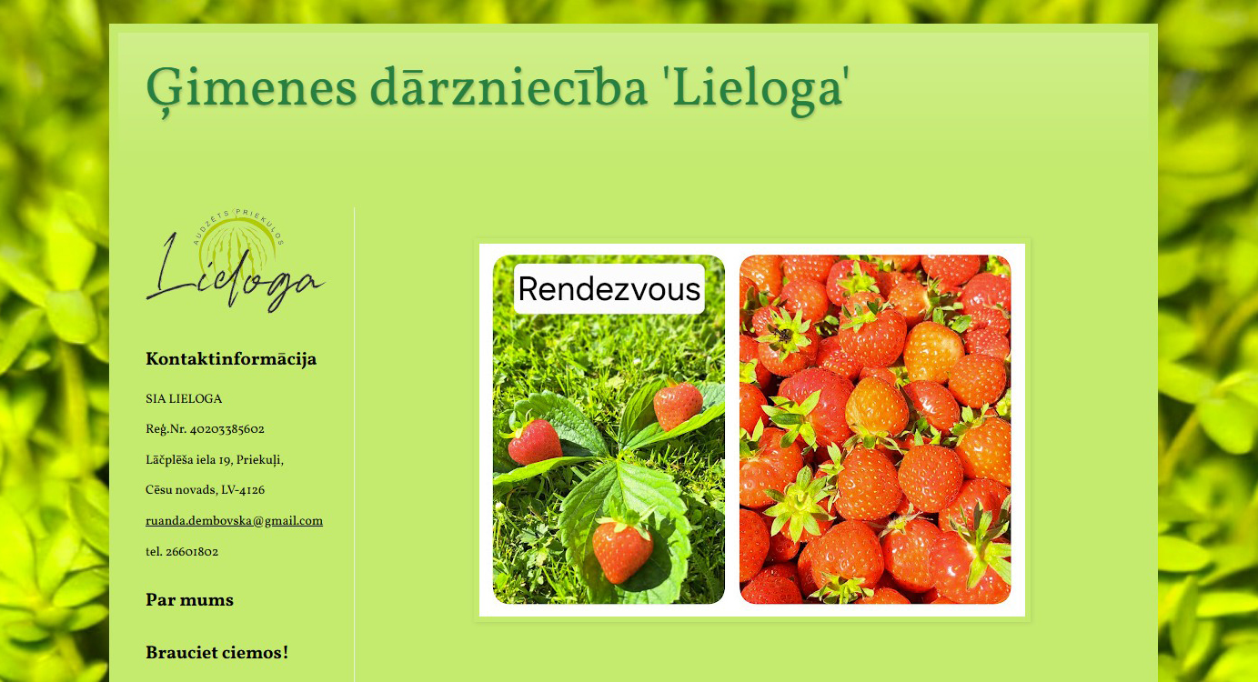 https://www.lieloga.lv/