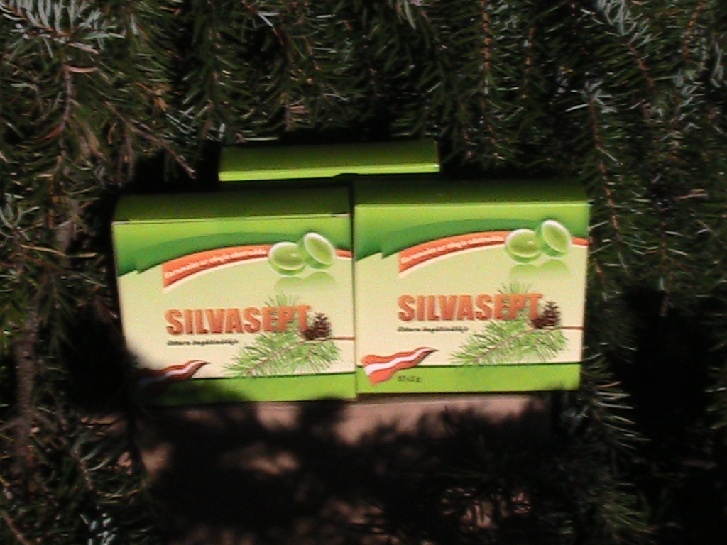 Silvasept karameles