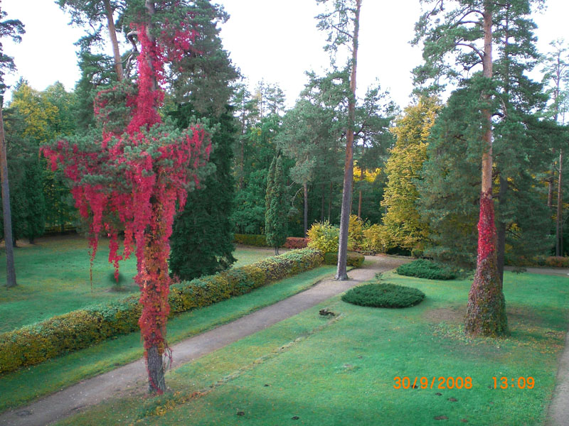 Rehabilitācija Tērvetes dabas parkā