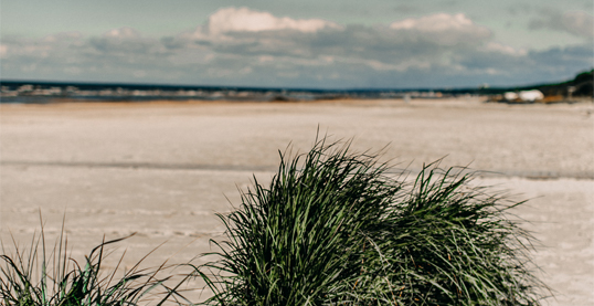 Kad nepieciešama psihiatra konsultācija