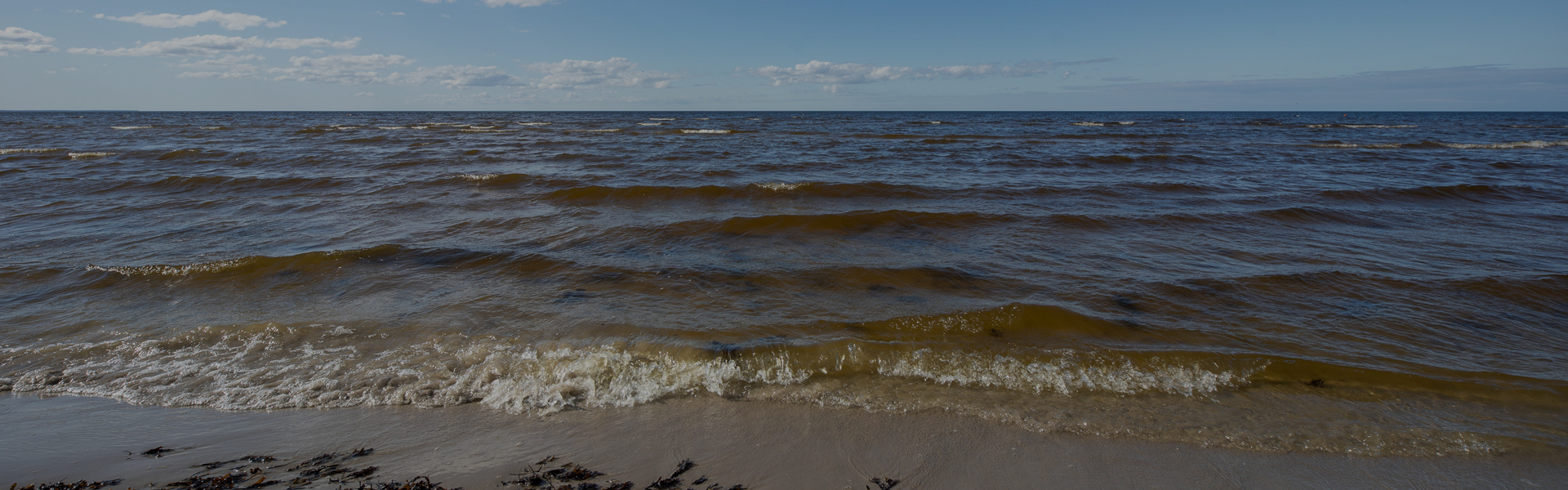 Garīgās veselības traucējumi