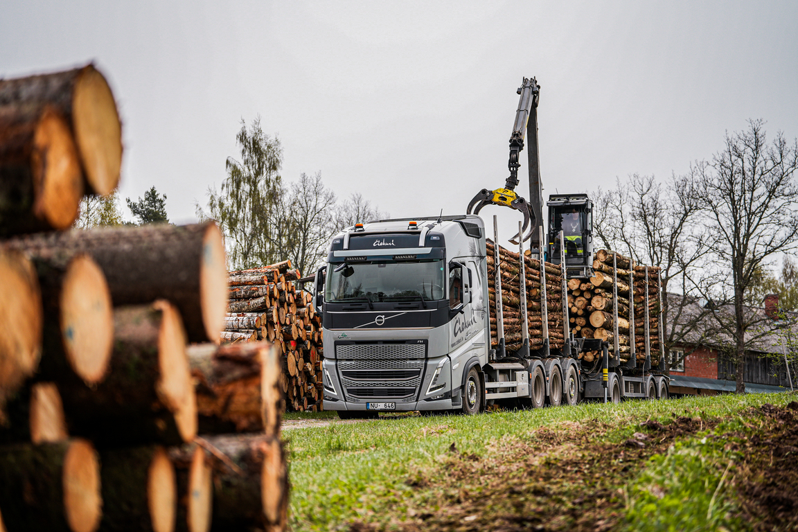 meža īpašumu apsaimniekošana