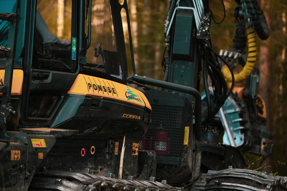 Meža apsaimniekošana