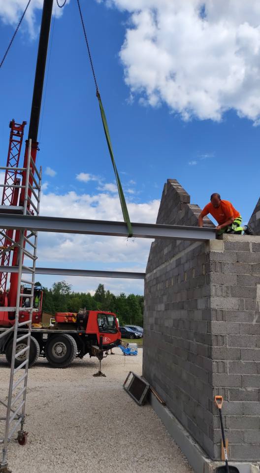 Karkasa un sienu izbūve