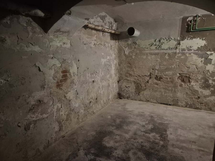 Damp Detectives pagrabu diagnostika