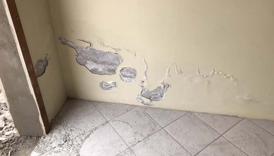 Damp Detectives sienu diagnostika