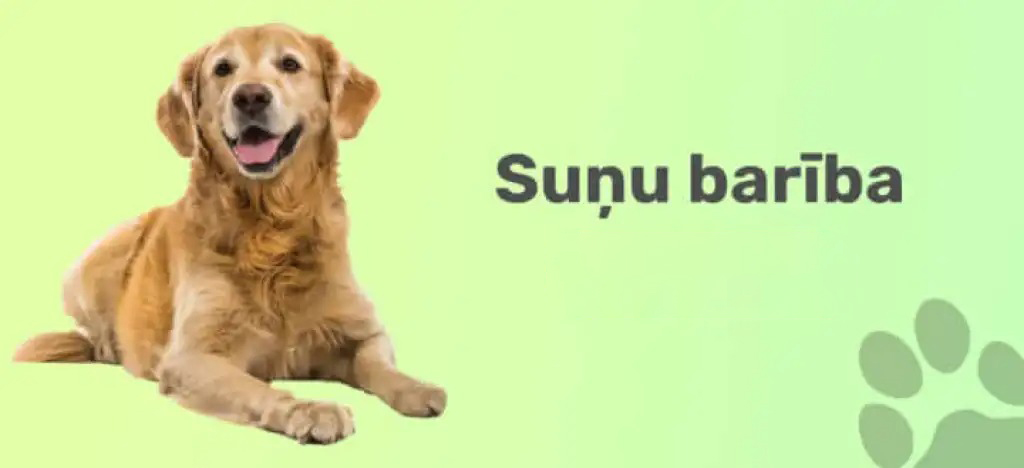 suņu barība