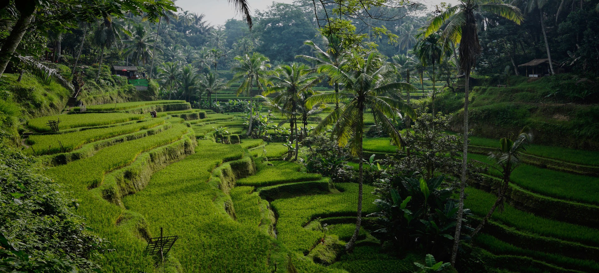 Organizēti ceļojumi