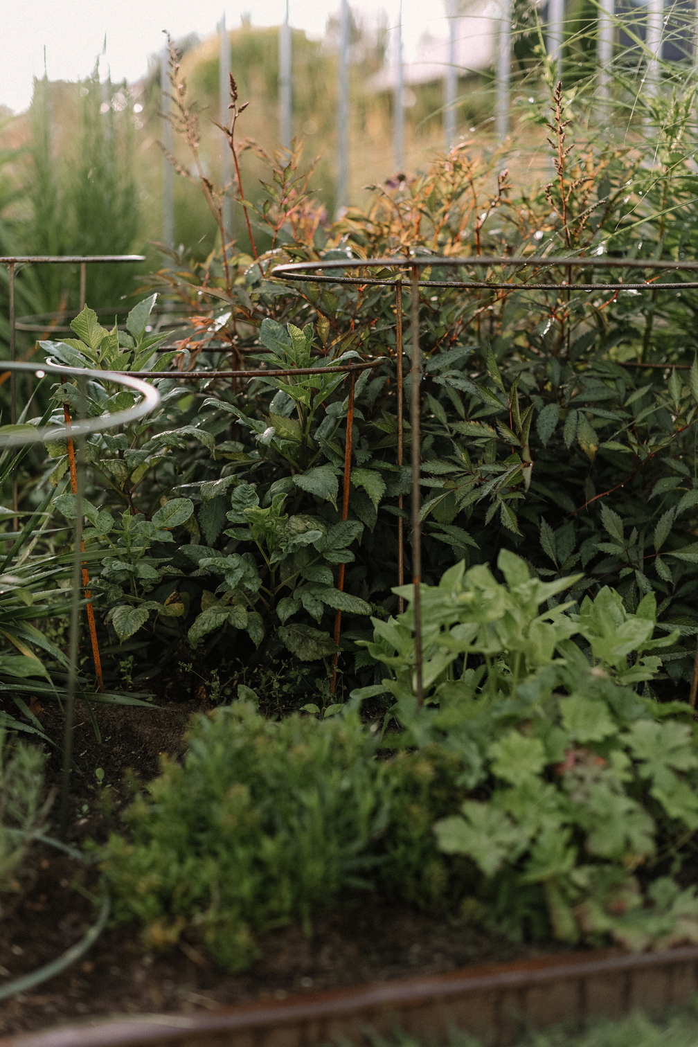 Risinājumi dārziem