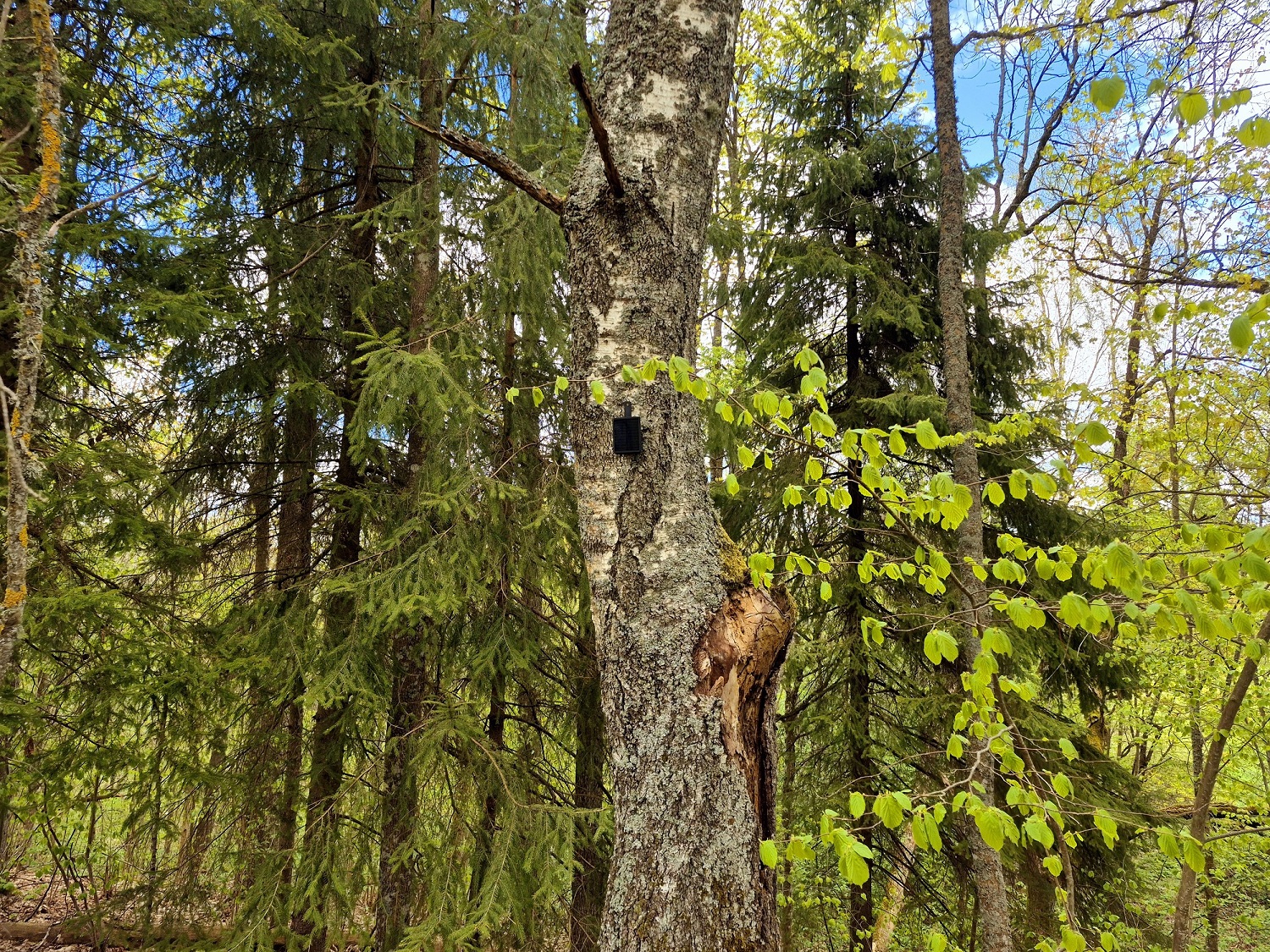 Dabas teritoriju aizsardzība