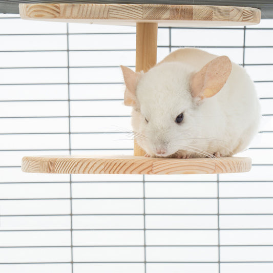 Aksesuāri dzīvniekiem