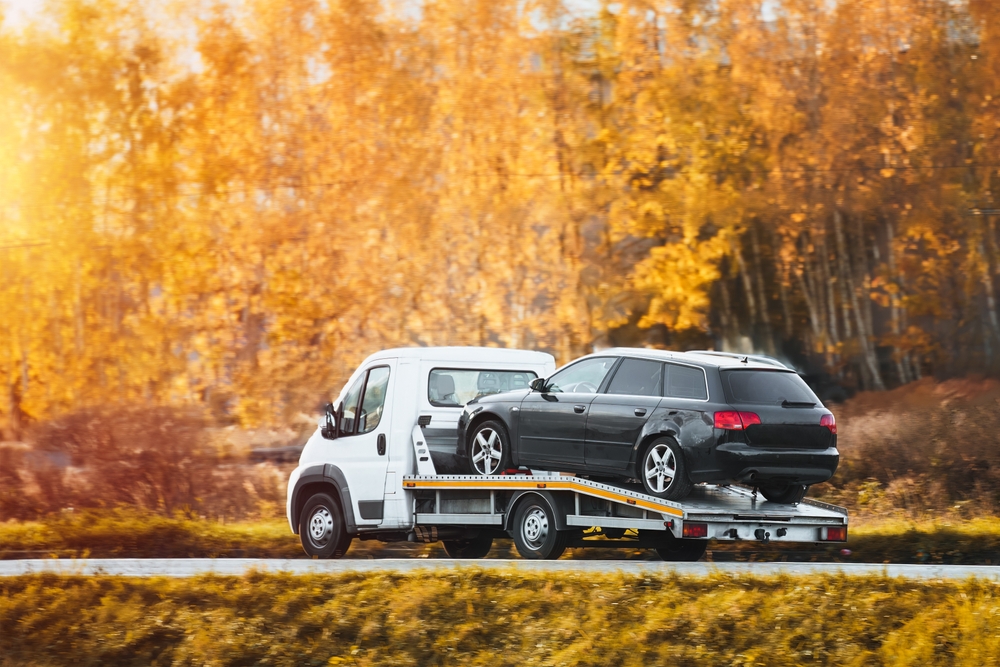 Auto evakuācijas pakalpojumi