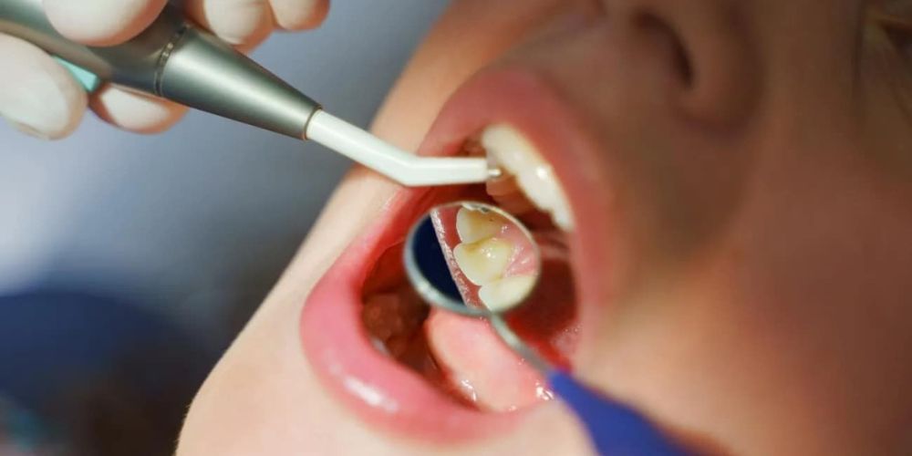 DANA DENTAL, SIA cenas