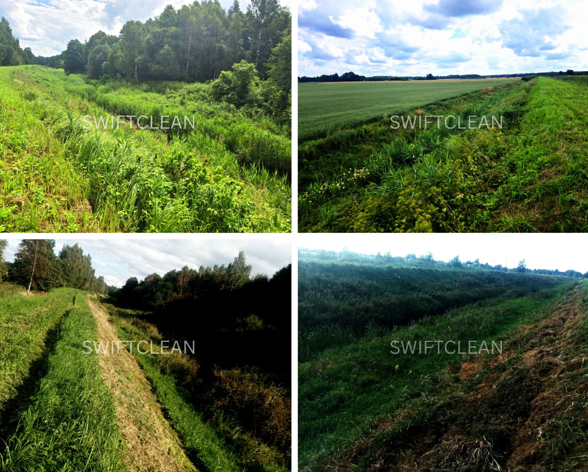 zāliena sēšana, pļaušana