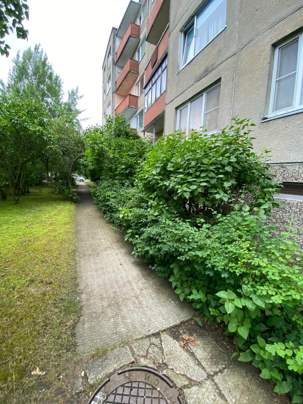 Aizaugušu krūmu apgriešana un celiņu atbrīvošana ar SwiftClean