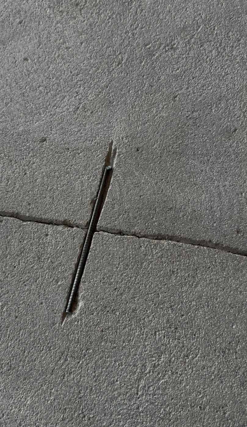 Plaisu remonts