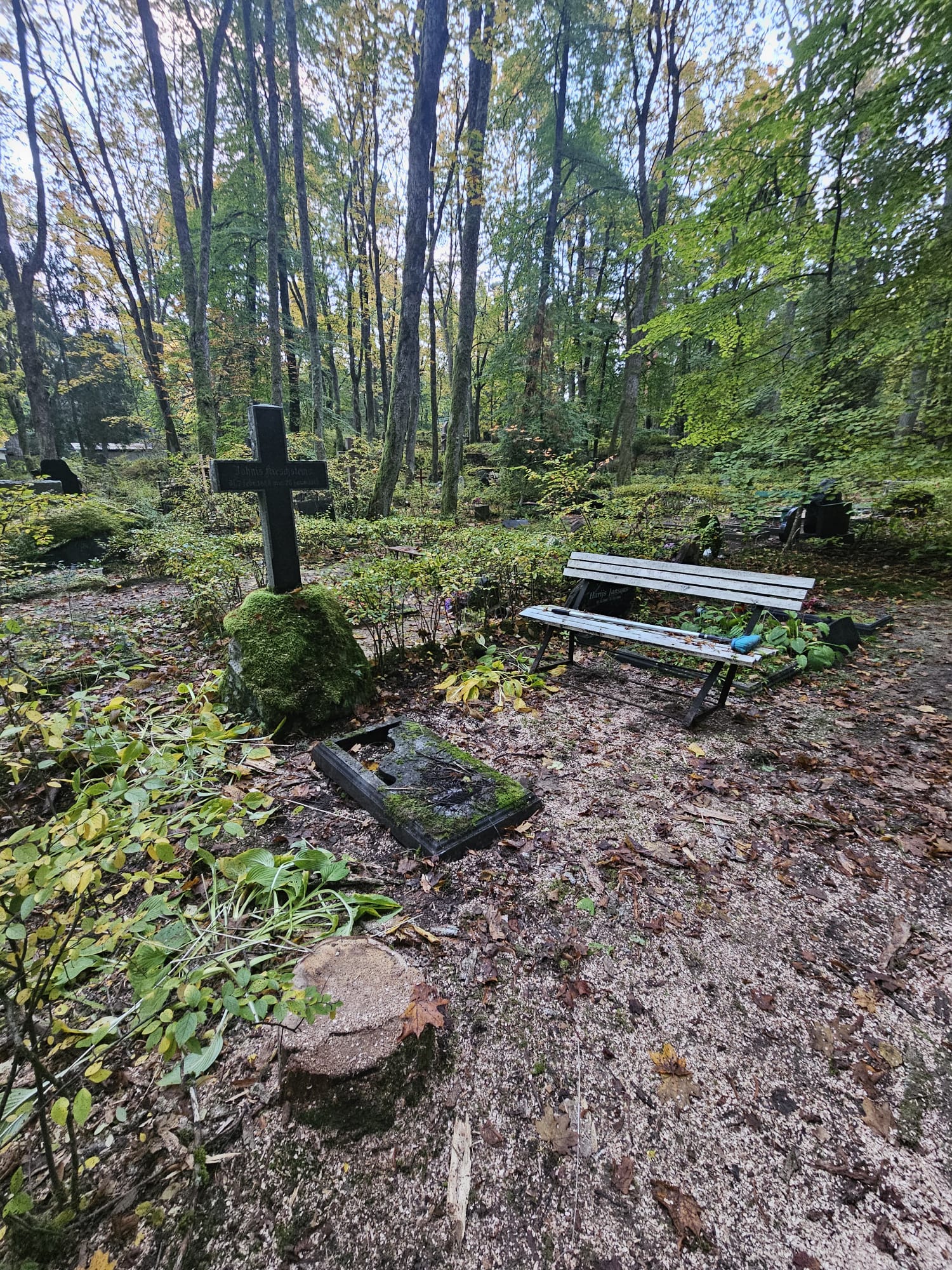 apbedīšanas pakalpojumi