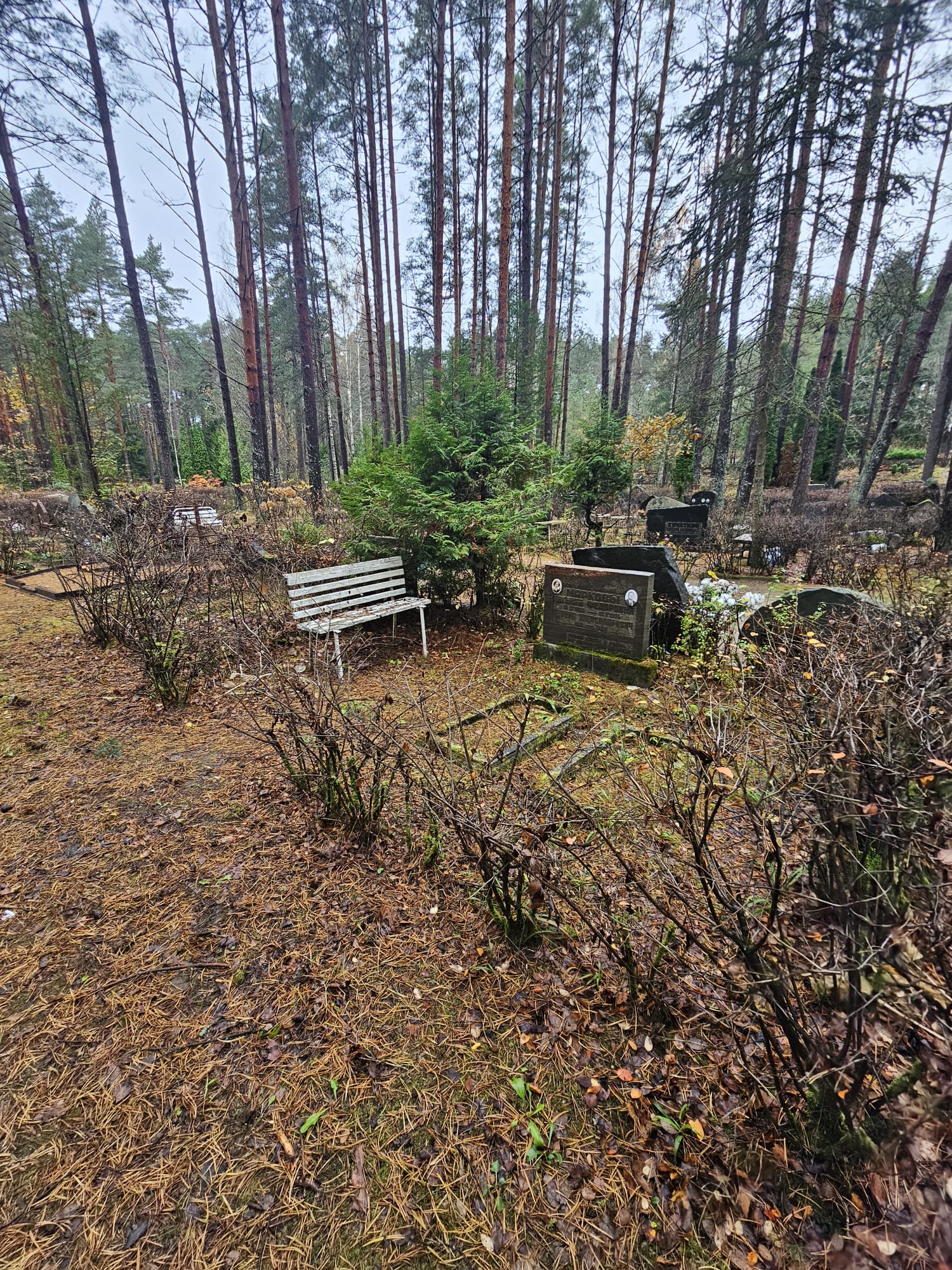 kapavietas labiekārtošana