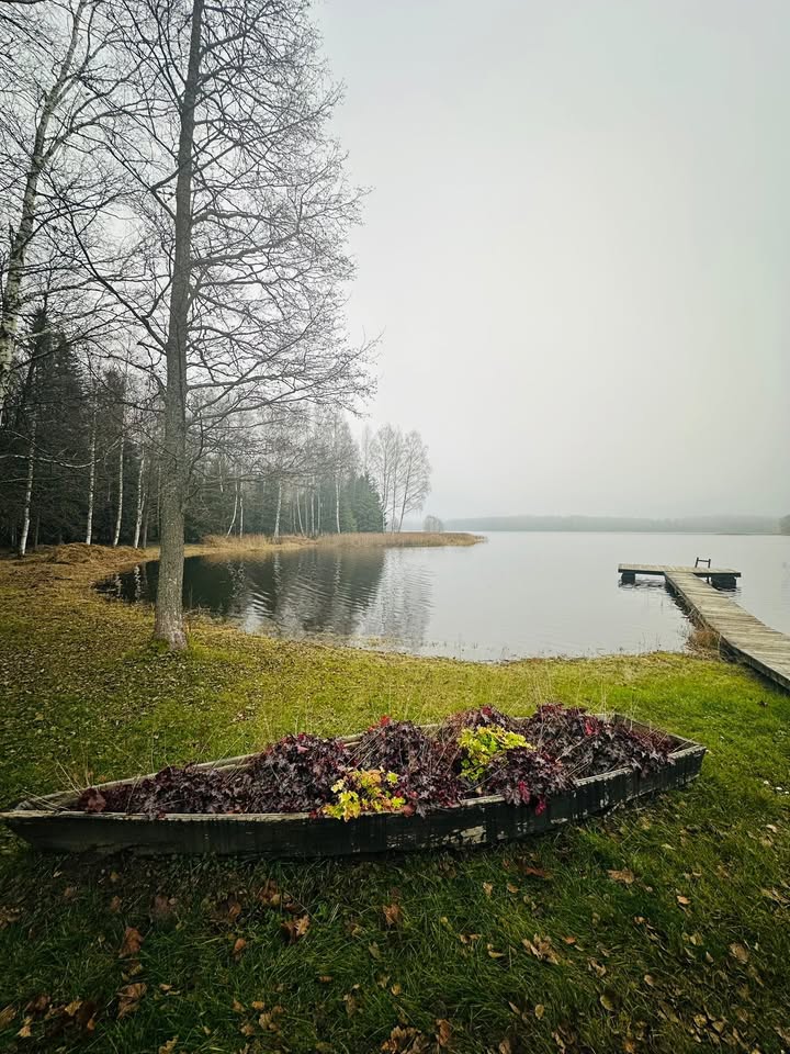 Niedru pļaušana un izcelšana
