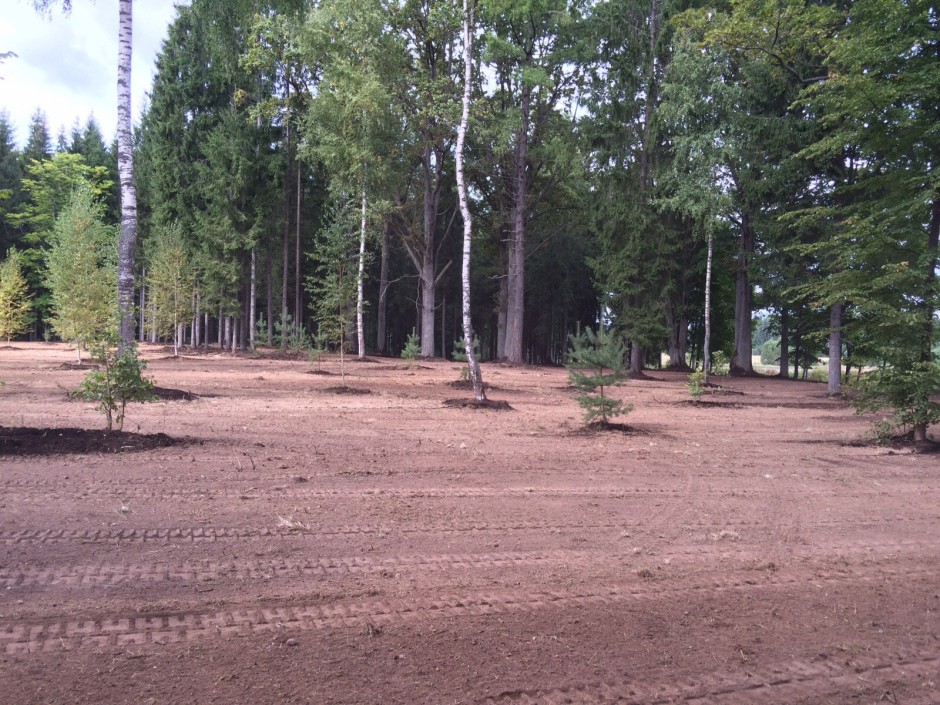 Laukuma līdzināšana