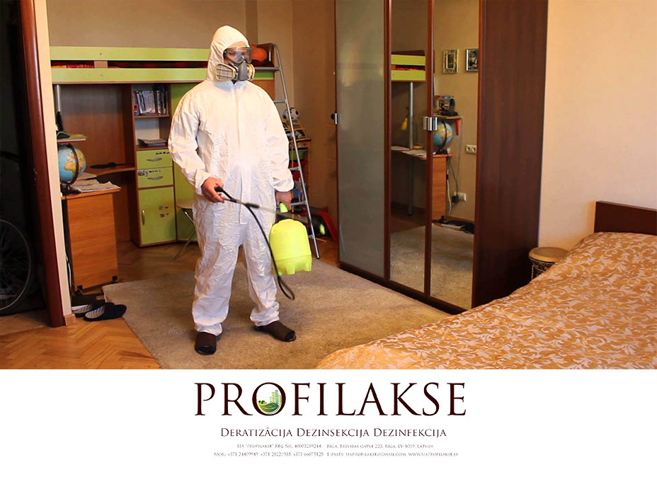 Profilakse dezinfekcija