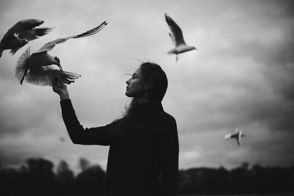 Apbedīšanas pakalpojumi